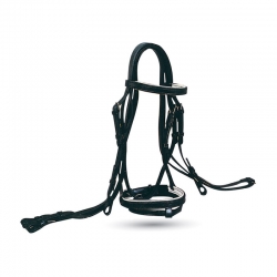 Bridle