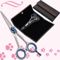 Barber Shears Kit