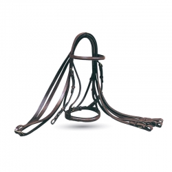 Bridle