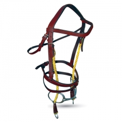Bridle