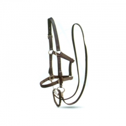 Bridle