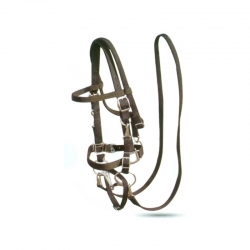 Bridle