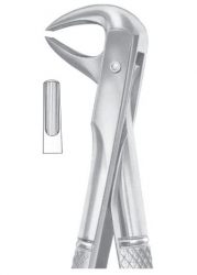 Forceps