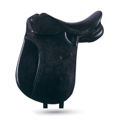Saddles Saddles