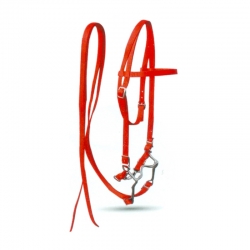 Bridle